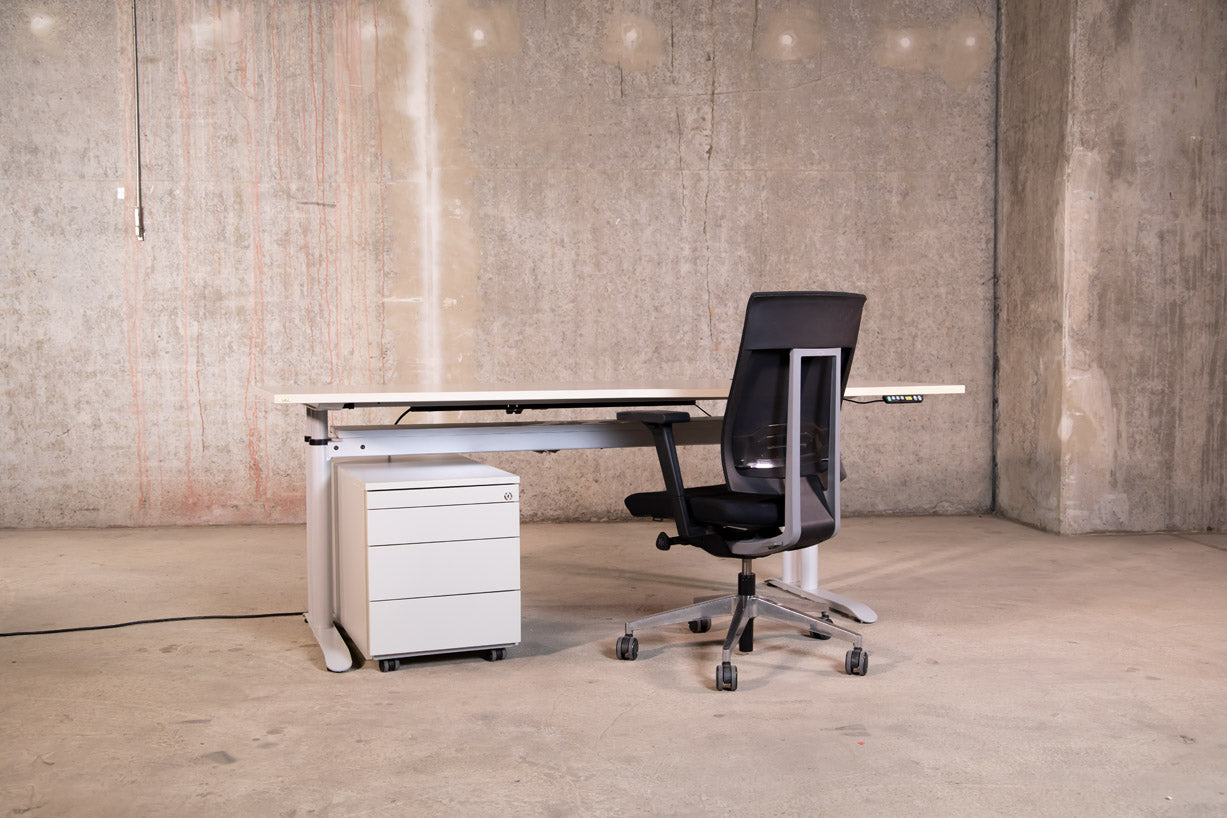 Hund – elektrisch höhenverstellbarer Schreibtisch, Freiform, Lichtgrau, 200 x 100/80 cm