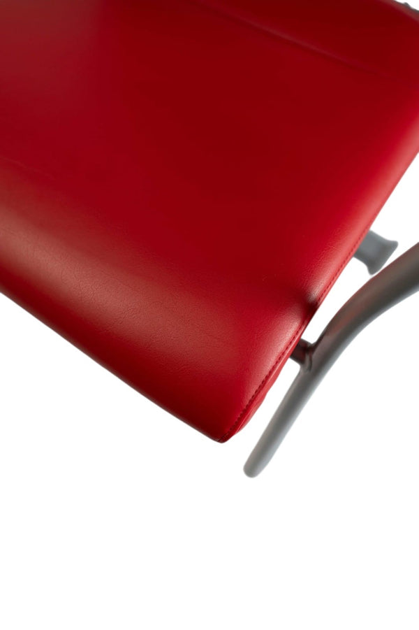 Interstuhl "X565", Freischwinger, Leder, Rot/Grau