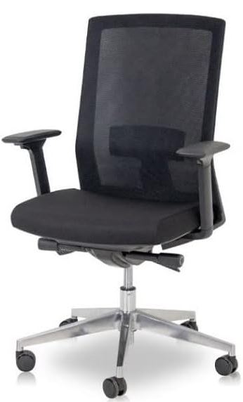 RMOffice "Ergo+" Ergonomischer Schreibtischstuhl mit Netzrücken, Schwarz